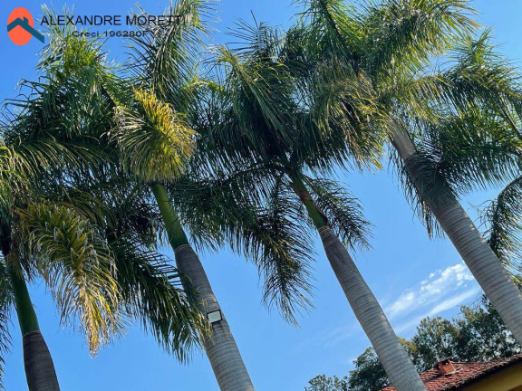 Imagem Casa com 3 Quartos à Venda, 6.000 m² em Cercado - Araçoiaba Da Serra Imagem Casa com 3 Quartos à Venda, 6.000 m² em Cercado - Araçoiaba Da Serra