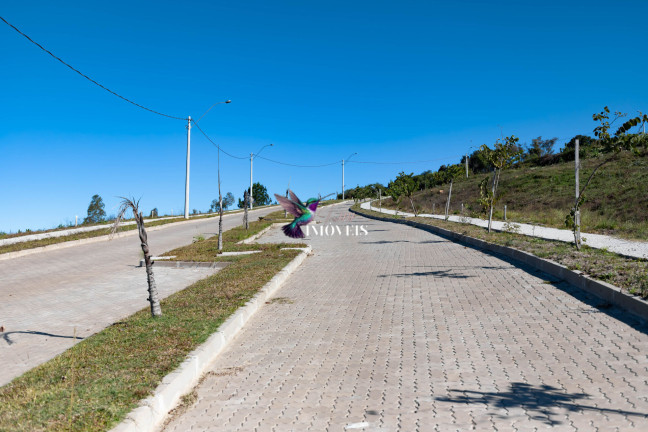 Imagem Terreno à Venda, 187 m² em Planalto - Santana Do Livramento Imagem Terreno à Venda, 187 m² em Planalto - Santana Do Livramento