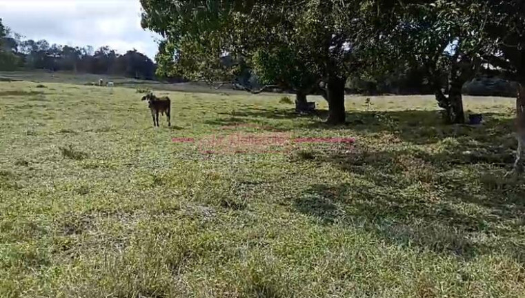 Imagem Chácara com 2 Quartos à Venda, 150 m² em área Rural De Tatuí - Tatuí