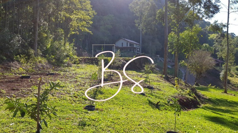 Imagem Imóvel com 5 Quartos à Venda, 30.000 m² em Pirajá Baixa - Nova Petrópolis