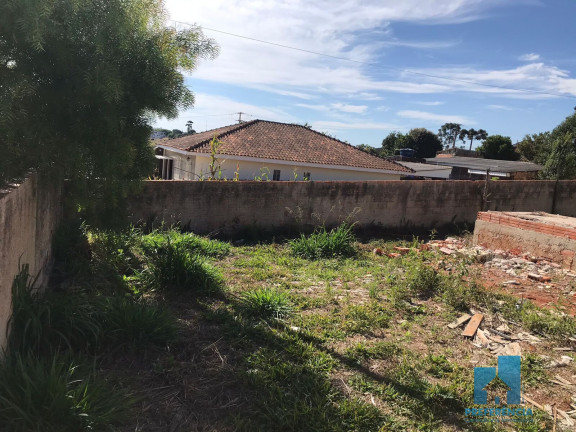 Imagem Terreno à Venda, 300 m² em Piriquitos - Ponta Grossa Imagem Terreno à Venda, 300 m² em Piriquitos - Ponta Grossa