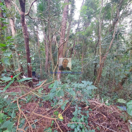 Imagem Terreno à Venda, 400 m² em Jardim Atalaia - Cotia Imagem Terreno à Venda, 400 m² em Jardim Atalaia - Cotia