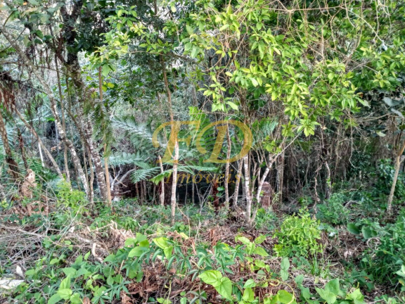 Imagem Terreno em Condomínio à Venda, 1.000 m² em São Vicente - Mairiporã Imagem Terreno em Condomínio à Venda, 1.000 m² em São Vicente - Mairiporã