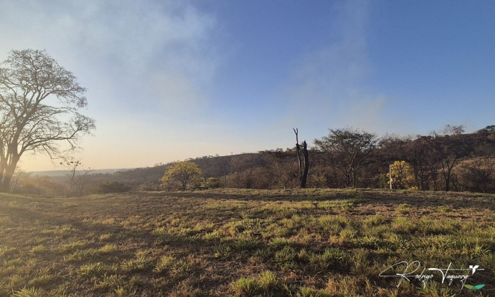 Imagem Terreno à Venda, 2.521 m² em Residencial Aldeia Do Vale - Goiânia