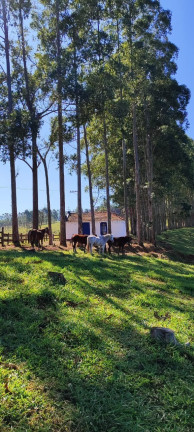 Imagem Imóvel com 5 Quartos à Venda, 2.890.000 m² em Centro - Botucatu