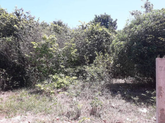 Imagem Terreno à Venda, 3.000 m² em Praia Da Pipa - Tibau Do Sul Imagem Terreno à Venda, 3.000 m² em Praia Da Pipa - Tibau Do Sul