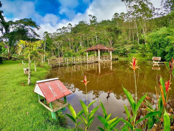 Imagem Imóvel com 7 Quartos à Venda, 6 m² em Santa Teresa - Santa Teresa Imagem Imóvel com 7 Quartos à Venda, 6 m² em Santa Teresa - Santa Teresa
