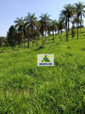 Imagem Fazenda à Venda, 157.300 m² em Centro - Santo Antônio De Posse Imagem Fazenda à Venda, 157.300 m² em Centro - Santo Antônio De Posse