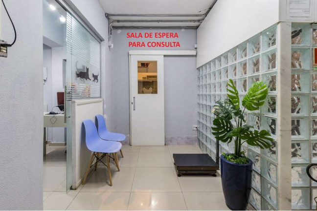 Imagem Imóvel Comercial à Venda, 300 m² em Vila Ipiranga - Porto Alegre Imagem Imóvel Comercial à Venda, 300 m² em Vila Ipiranga - Porto Alegre