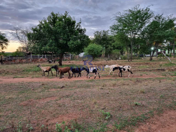 Imagem Fazenda à Venda, 2.551.000 m² em Centro - Santa Terezinha Imagem Fazenda à Venda, 2.551.000 m² em Centro - Santa Terezinha