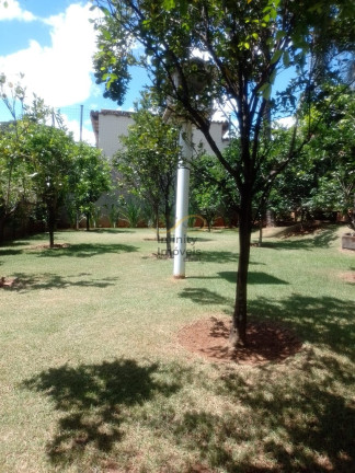 Imagem Casa com 4 Quartos à Venda, 540 m² em Bandeirantes (pampulha) - Belo Horizonte