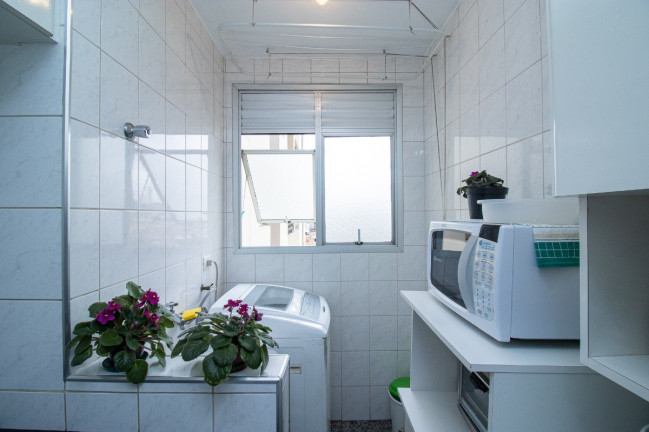 Imagem Apartamento com 3 Quartos à Venda, 64 m² em Vila Nova Cachoeirinha - São Paulo