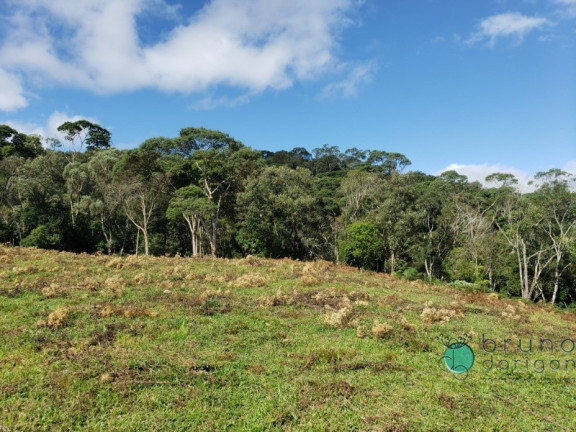 Imagem Imóvel à Venda, 120.000 m² em Zona Rural - Alfredo Wagner Imagem Imóvel à Venda, 120.000 m² em Zona Rural - Alfredo Wagner