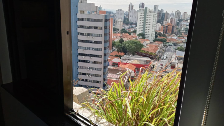 Imagem Apartamento com 4 Quartos à Venda, 233 m² em Jardim São Paulo(zona Norte) - São Paulo Imagem Apartamento com 4 Quartos à Venda, 233 m² em Jardim São Paulo(zona Norte) - São Paulo