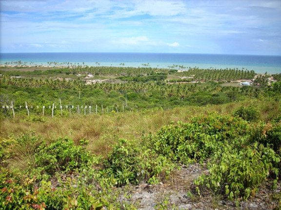 Imagem Terreno à Venda, 100.000 m² em Barra Do Itariri - Conde Imagem Terreno à Venda, 100.000 m² em Barra Do Itariri - Conde