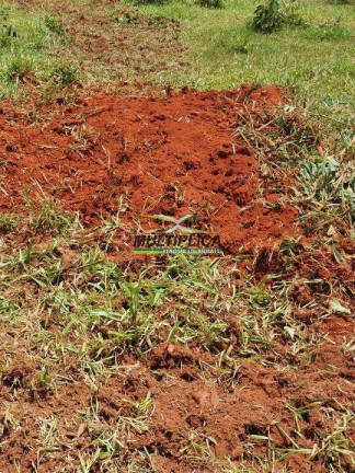 Imagem Fazenda à Venda, 260 m² em Uberlândia