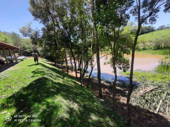 Imagem Chácara com 3 Quartos à Venda, 73.000 m² em Pires - Piedade