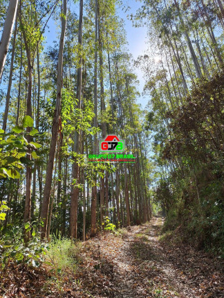 Imagem Chácara à Venda, 8 m² em São Francisco Xavier - São José Dos Campos Imagem Chácara à Venda, 8 m² em São Francisco Xavier - São José Dos Campos