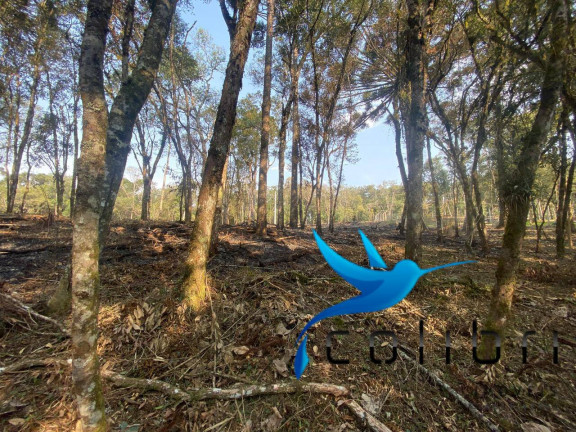 Imagem Terreno à Venda, 2.141 m² em Leão - Agudos Do Sul Imagem Terreno à Venda, 2.141 m² em Leão - Agudos Do Sul