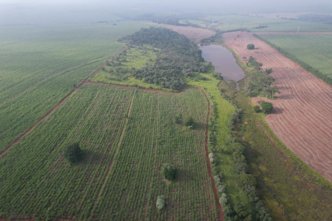 Imagem Fazenda à Venda, 53 m² em Zona Rural - Ipauçu Imagem Fazenda à Venda, 53 m² em Zona Rural - Ipauçu