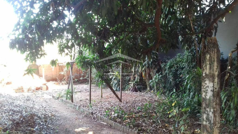 Imagem Chácara com 3 Quartos à Venda, 4.000 m² em Santa Terezinha - Paulínia Imagem Chácara com 3 Quartos à Venda, 4.000 m² em Santa Terezinha - Paulínia