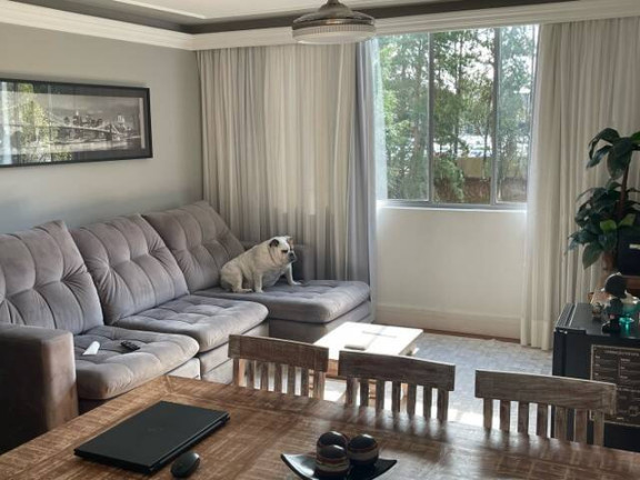 Imagem Apartamento com 2 Quartos à Venda, 88 m² em Parque Terra Nova - São Bernardo Do Campo Imagem Apartamento com 2 Quartos à Venda, 88 m² em Parque Terra Nova - São Bernardo Do Campo