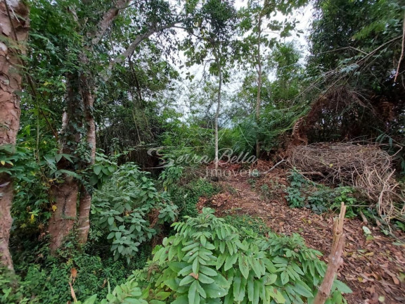 Imagem Terreno à Venda, 825 m² em Albuquerque - Teresópolis Imagem Terreno à Venda, 825 m² em Albuquerque - Teresópolis