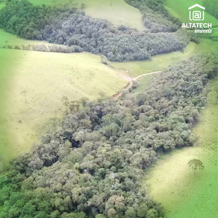 Imagem Imóvel à Venda, 7.032 m² em Santo Antônio - Caldas