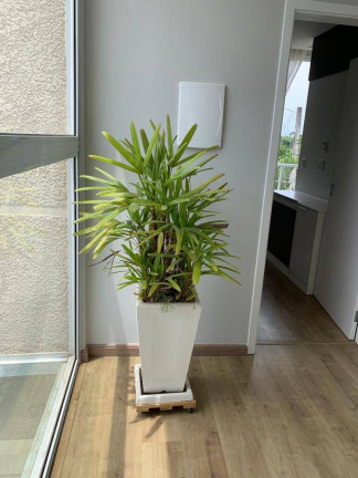 Imagem Imóvel com 3 Quartos à Venda, 1.600.000 m² em São Paulo - Jundiaí