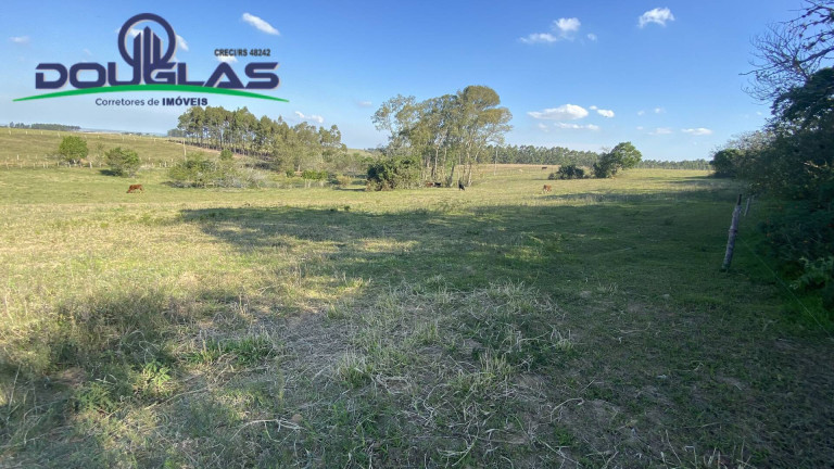 Imagem Casa com 2 Quartos à Venda, em Viamão Imagem Casa com 2 Quartos à Venda, em Viamão