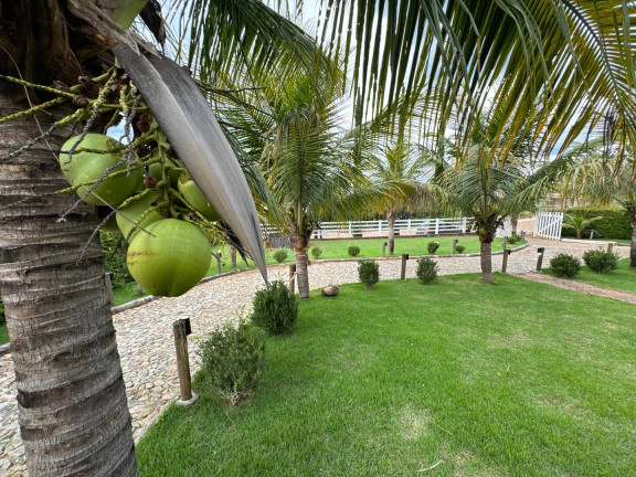 Imagem Chácara com 4 Quartos à Venda, 2 m² em Jardim Das Mangabeiras - Mateus Leme