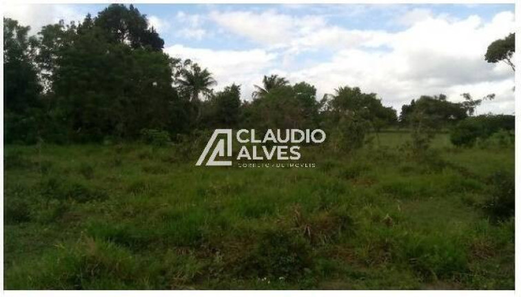 Imagem Terreno à Venda, 13.000 m² em Br 324 - Amélia Rodrigues Imagem Terreno à Venda, 13.000 m² em Br 324 - Amélia Rodrigues