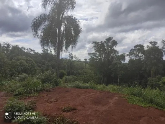 Imóvel à Venda, 174.240 m² em Sao Silvestre - Campo Largo