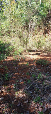 Imagem Terreno à Venda, 3.240 m² em Santa Teresa