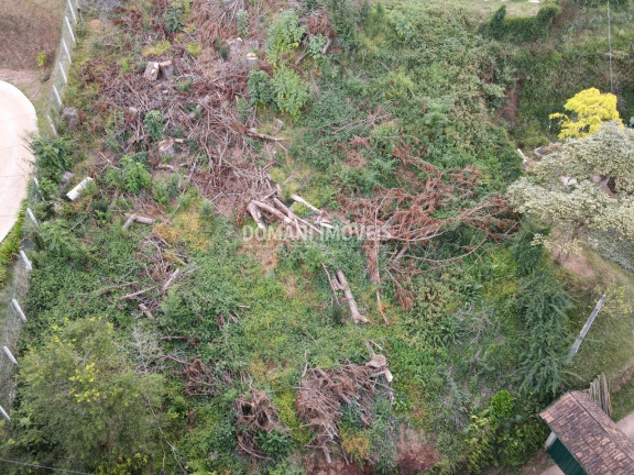 Imagem Terreno à Venda, 1.110 m² em Região De Descansópolis - Campos Do Jordão
