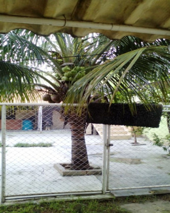 Casa com 4 Quartos à Venda, 220 m² em Jardim Tropical - Nova Iguaçu