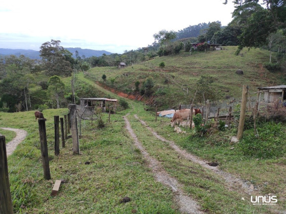 Imagem Fazenda à Venda, 13.000 m² em Pagará - São Pedro De Alcântara Imagem Fazenda à Venda, 13.000 m² em Pagará - São Pedro De Alcântara