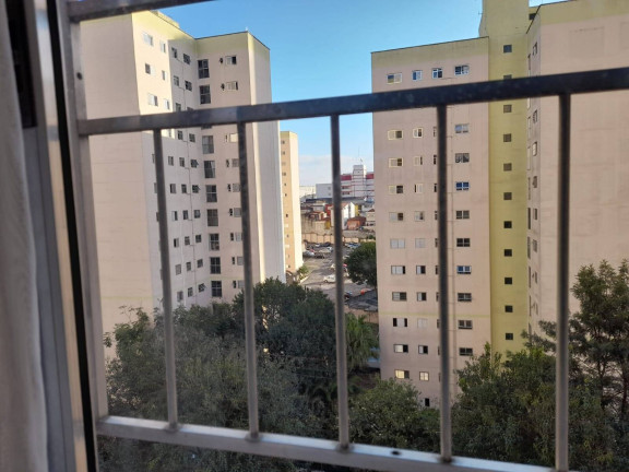 Imagem Apartamento com 3 Quartos à Venda, 70 m² em Vila Moraes - São Paulo