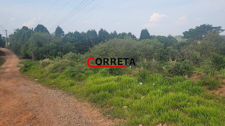 Imagem Terreno à Venda, 1.045 m² em Centro - Ibiúna Imagem Terreno à Venda, 1.045 m² em Centro - Ibiúna