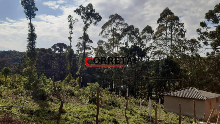 Imagem Terreno à Venda, 500 m² em Vargem Do Salto - Ibiúna Imagem Terreno à Venda, 500 m² em Vargem Do Salto - Ibiúna