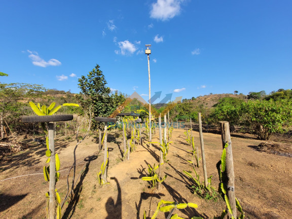 Imagem Imóvel com 2 Quartos à Venda, 2.000 m² em Zona Rural - Marliéria