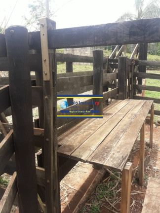 Imagem Imóvel com 4 Quartos à Venda, 7 m² em Rural - São Tomás De Aquino Imagem Imóvel com 4 Quartos à Venda, 7 m² em Rural - São Tomás De Aquino