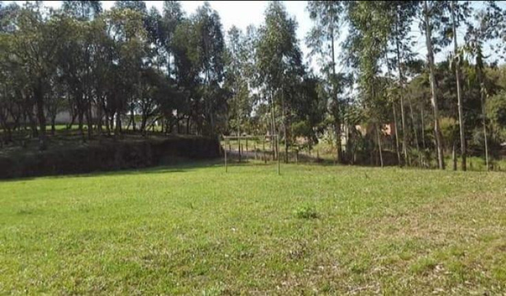 Imagem Chácara à Venda, 8.291 m² em Rio Da Várzea - Quitandinha Imagem Chácara à Venda, 8.291 m² em Rio Da Várzea - Quitandinha