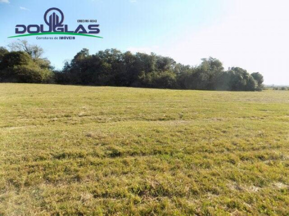 Imagem Chácara à Venda, 8 m² em águas Claras - Viamão Imagem Chácara à Venda, 8 m² em águas Claras - Viamão