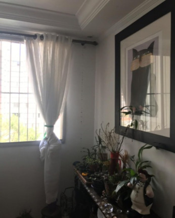 Imagem Apartamento com 2 Quartos à Venda, 70 m² em Vila Mascote - Sao Paulo Imagem Apartamento com 2 Quartos à Venda, 70 m² em Vila Mascote - Sao Paulo