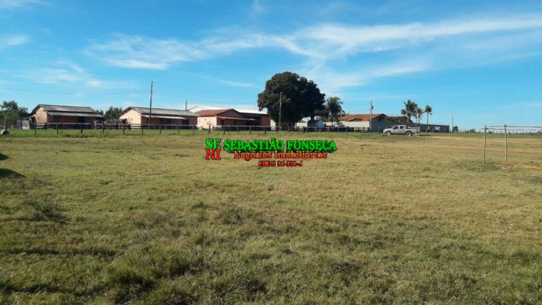 Imagem Fazenda à Venda, 1.200 m² em área Rural De Xinguara - Xinguara