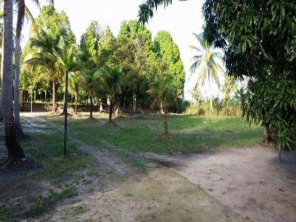 Imagem Chácara com 3 Quartos à Venda, 6.490 m² em Abrantes - Camaçari