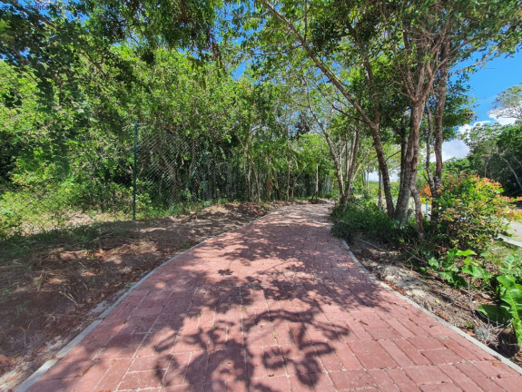Imagem Terreno à Venda, 1.000 m² em Busca Vida - Camaçari Imagem Terreno à Venda, 1.000 m² em Busca Vida - Camaçari