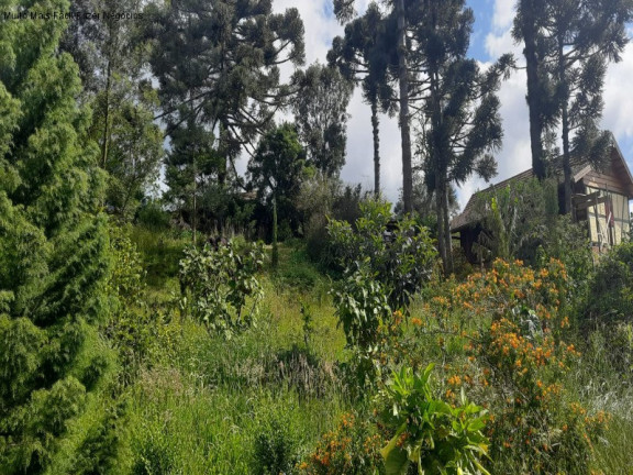 Terreno à Venda, 560 m² em Recanto Do Sossego - Nova Petrópolis