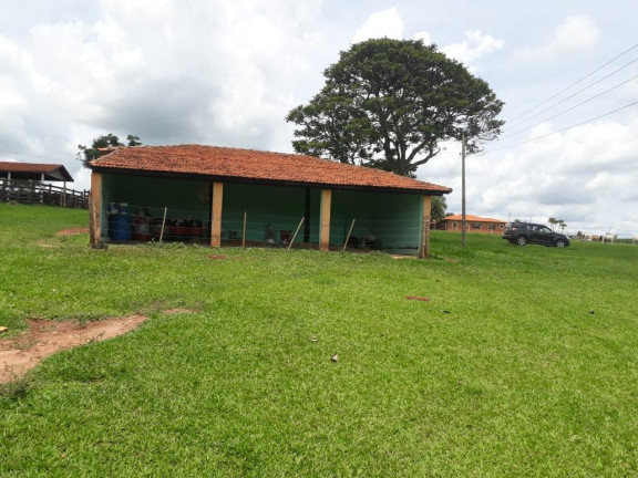 Imagem Fazenda à Venda, 35 m² em Rural - Bauru Imagem Fazenda à Venda, 35 m² em Rural - Bauru